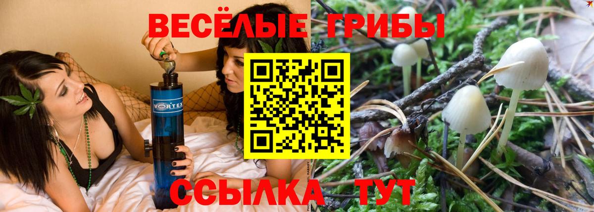 Галлюциногенные грибы мухоморы  Вход с VPN  Дзержинск 